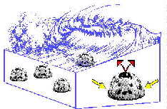 Graphical Representation Of Water Flow Through

Reef Ball